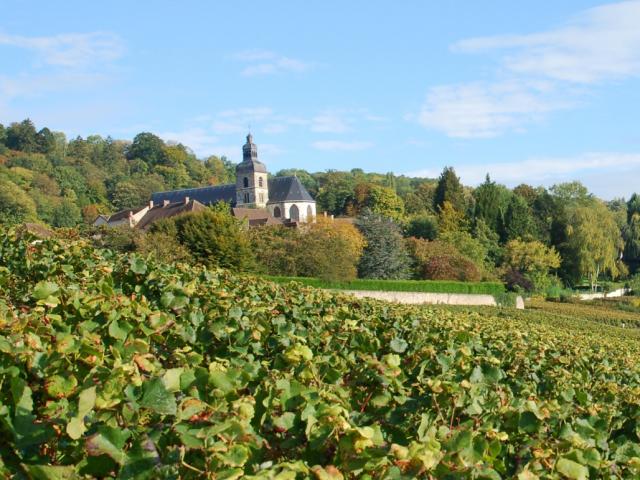 hautvillers-vignes-eglise.jpg