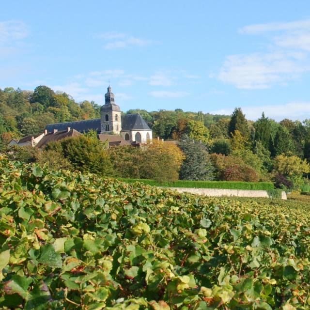 hautvillers-vignes-eglise.jpg