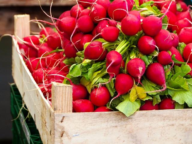 Legumes Printemps Mai Radis