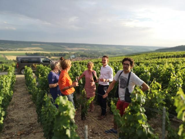 Visite Guidee Sparkling Tour Vignes