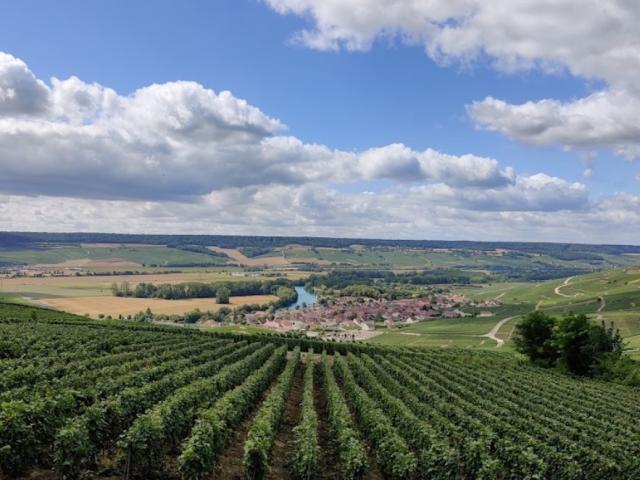 Belvedere Dom Perignon Hautvillers