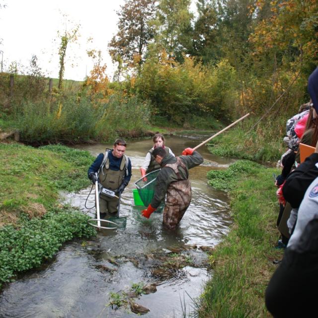 Peche Electrique