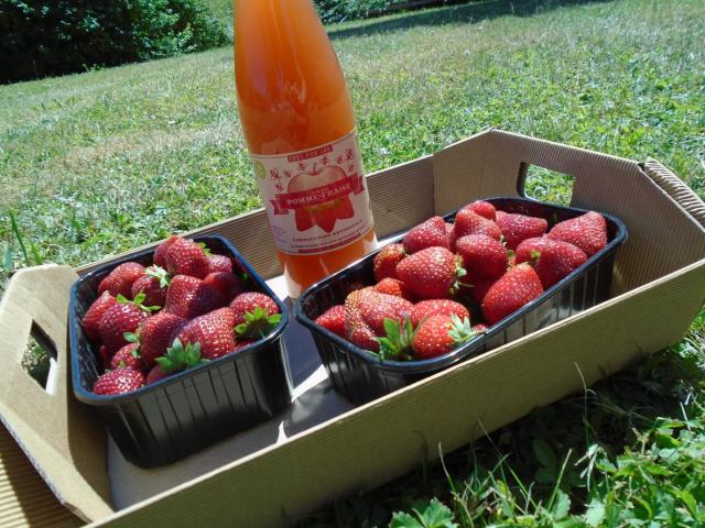 Vergers De Saint Pierre Jus De Pomme Fraises