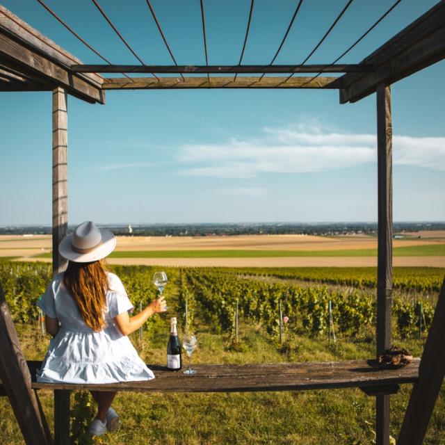 chalons-degustation-vigne