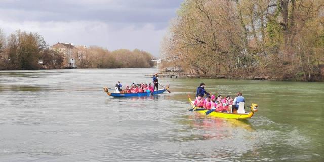 Dragon Boat Pelles Chalonnaises Team Building Chalons (2)