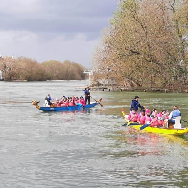 Dragon Boat Pelles Chalonnaises Team Building Chalons (2)