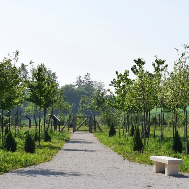 Promenade De Champagne Haussimont