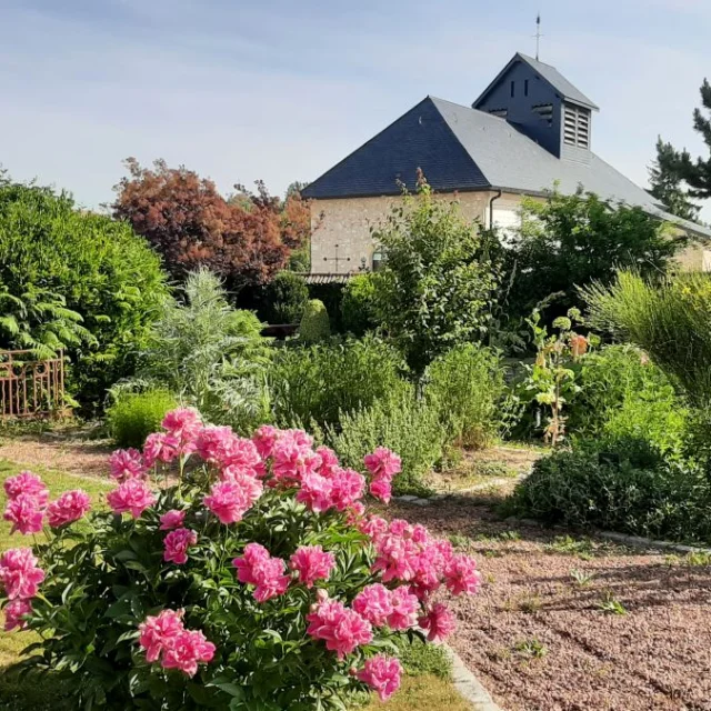 Jardin Des Plantes Textiles Et Tinctoriales Haussimont